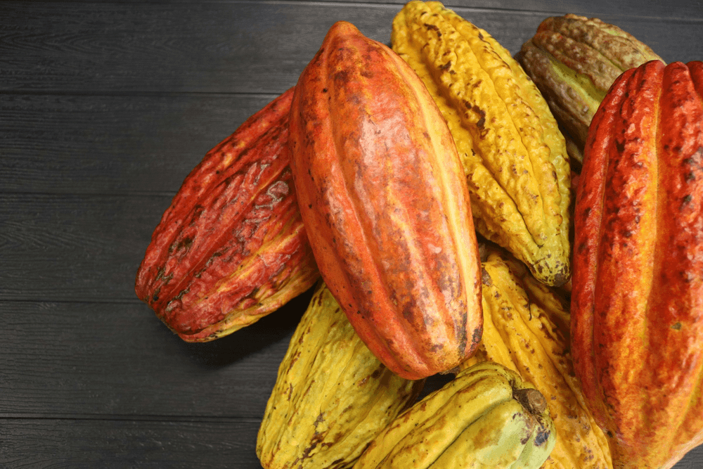 Nigerian Cocoa Harvest. © Unsplash